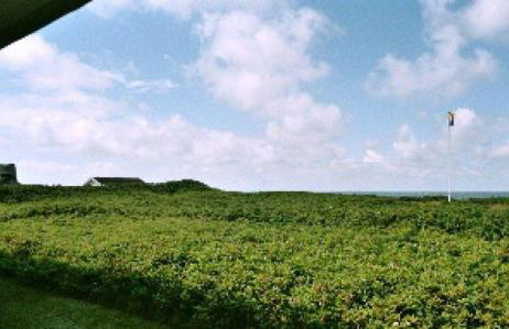 Duenenhof-App-31-32-Meerseite - Foto 11