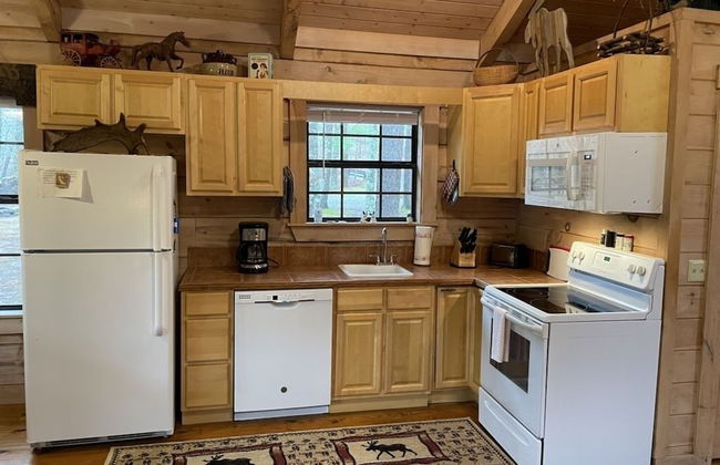 Private and Perfect! - hot tub, king bed, fireplace - dog and motorcycle friendly Studio Cabin by RedAwning - Foto 6