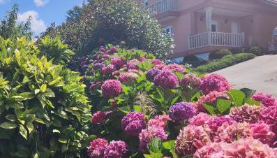 Casa A Vieira - Foto 3