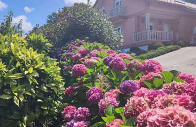 Casa A Vieira - Foto 3