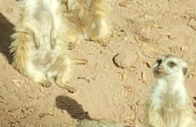 Gästehaus By George - Foto 22