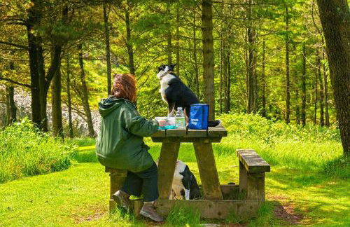 Foxes Reach - nrTintern Wye Valley hot tub EV - Foto 36