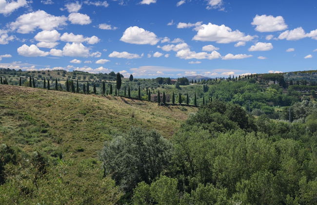 Cottage in Asciano With Pool and Terrace - Foto 43