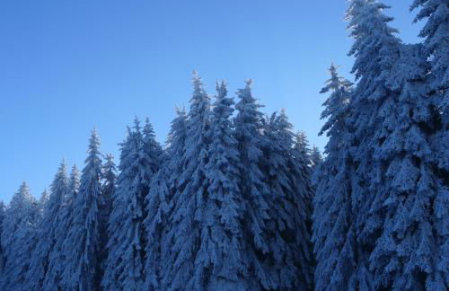 Lauschablick FeWo Thüringen - Foto 22