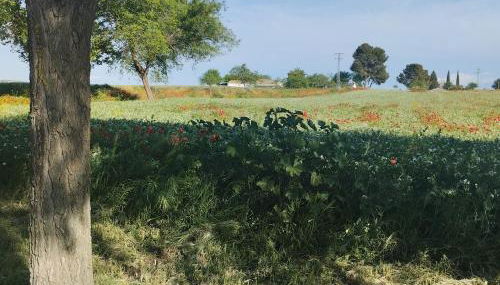 casa rural El Realengo - Foto 3