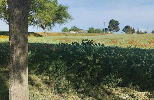 casa rural El Realengo - Foto 3