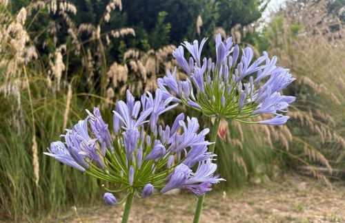 Casa delle Sorgenti - Foto 28