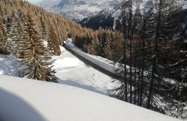 Il Cirmolo delle Saline - Foto 6