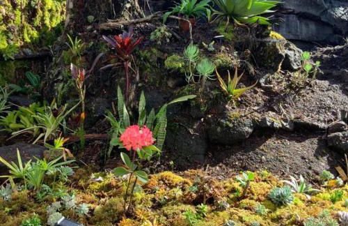 Exotic Garden cottage at amazing volcano fissure - Foto 59