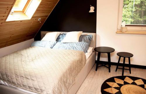 Czarny Dzięcioł - Foto 6