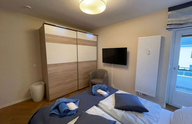 Herring Gull - Foto 3