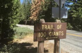 Sequoia National Forest CabinG - Foto 25