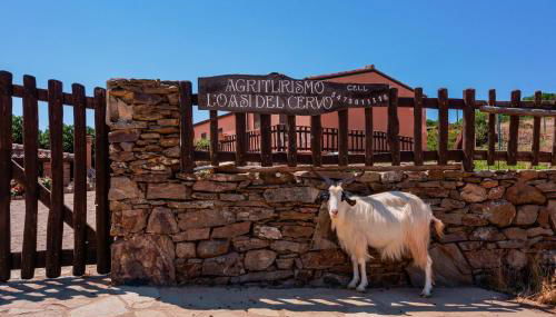 L'Oasi del Cervo - Foto 2