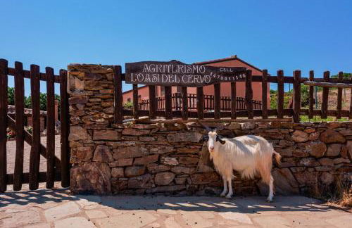 L'Oasi del Cervo - Foto 2