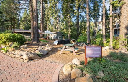 Sockeye by Avantstay Modern 2 BR Condo w/ Access to Northstar Resort Community - Foto 35