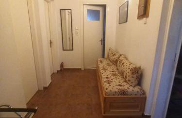 ELLI΄S HOUSE ΣΥΓΧΡΟΝΟ ΣΠΙΤΙ ΣΤΑ ΠΡΑΜΑΝΤΑ - Photo 12