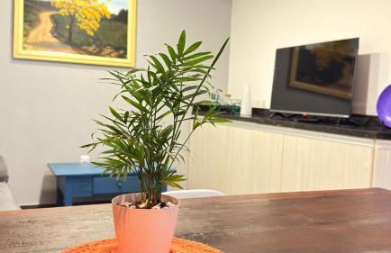 Comfortable summer house 10 minutes from the sea - Foto 14