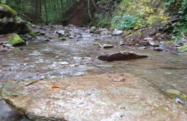 Ferienwohnung im Zentrum von Sonneberg - Photo 14