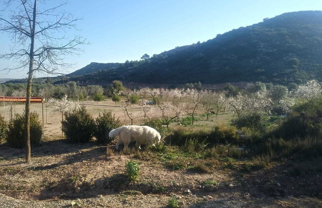 Espai Natural La Comanglora - Foto 52