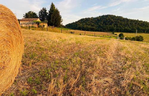 Podere La Selva - Foto 21