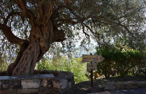 Antico Borgo Etneo Country Hotel - Foto 54