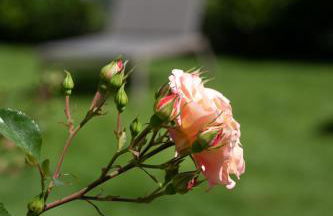 Residence Margreth - Foto 30