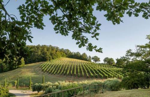 Tenuta la Torraccia agriturismo - Foto 22