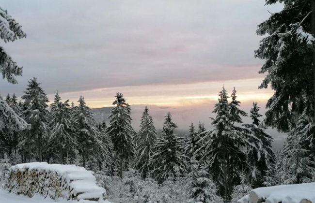 Holiday Home in Suhl Near Rennsteig Trail - Foto 27