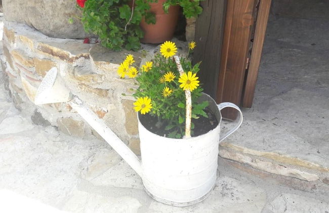 Tenute Margana - Foto 34