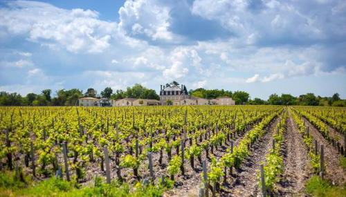 Otonneauxstress - Le pêcheur - Foto 4