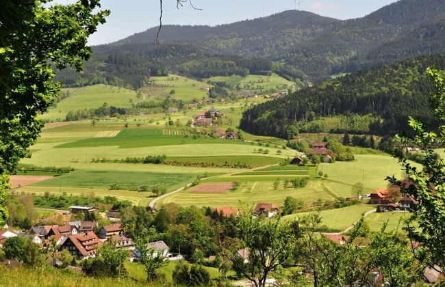 Pleasant Apartment in Zell am Harmersbach - Foto 26