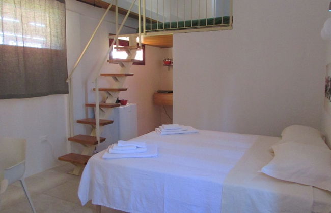 Cavalli di S'Arcaite - Foto 5