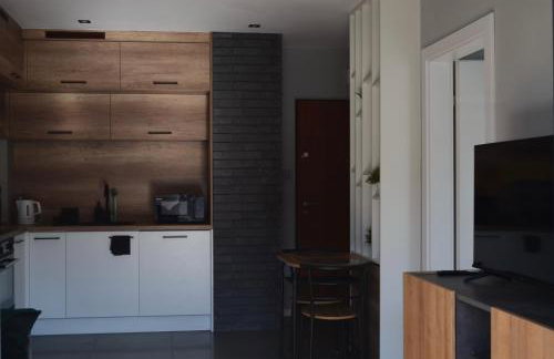 Apartment Sosnowiec City - Free Parking - easy check-in - Photo 10