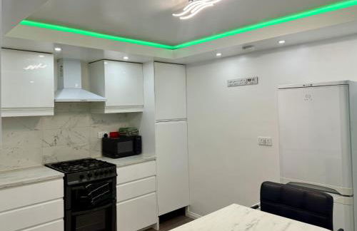 Modern Elegant Home - Photo 10