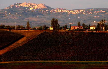 Agriturismo La Terra - Foto 45