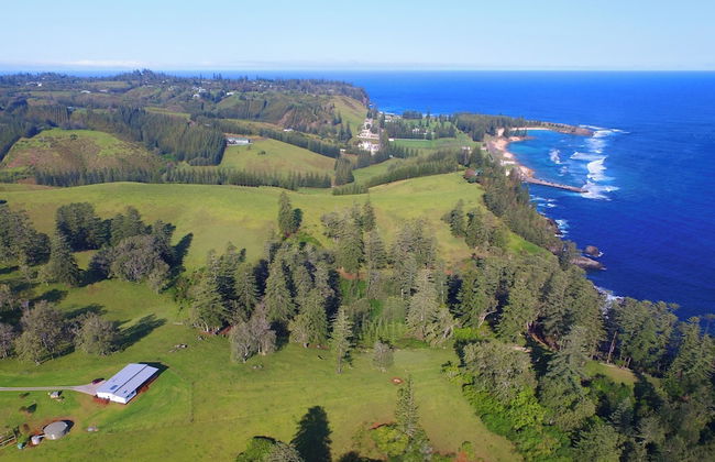 Beefsteak Homestead - Foto 42