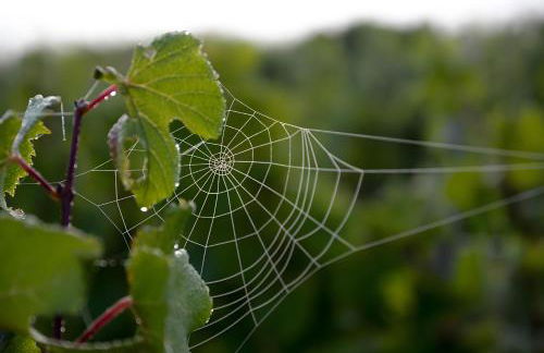 Gîte La Clématite - Foto 24