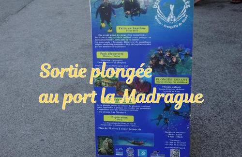 Superbe Villa 5 étoiles Presqu'Île de Giens la Madrague Rita la Villa d'Or vue mer piscine - Foto 49