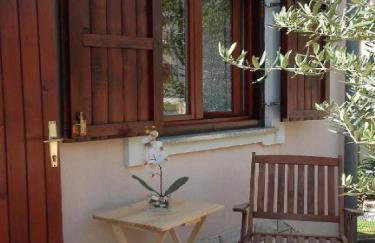 Apartments Smilje i Maslina - Photo 4