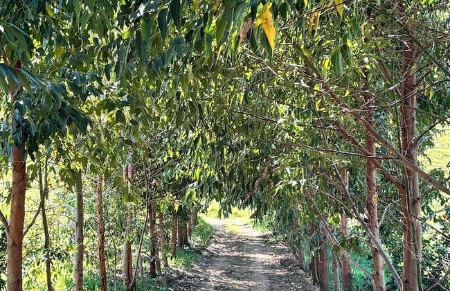 Into the Wild - Foto 21