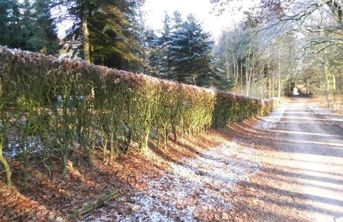 KLEINE SOUTERRAIN WOHNUNG NÄHE HAMBURG - Foto 38