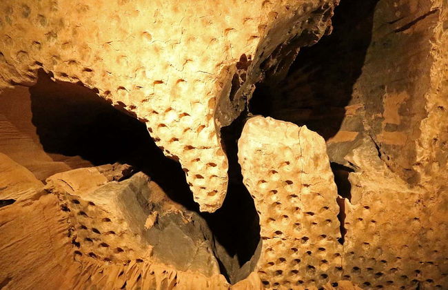 Visite guidée de la grotte d'Al Hoota - Photo 3