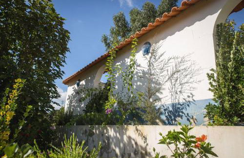 Entire villa hosted by Noam - Foto 3