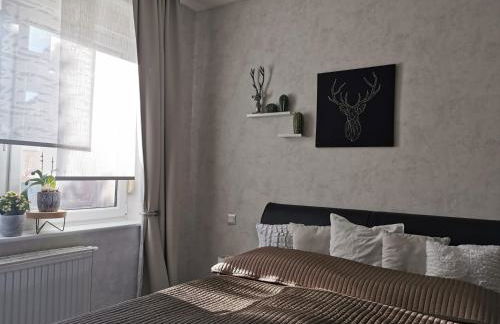 Ferienwohnung Luise mit separater Küche - Foto 5