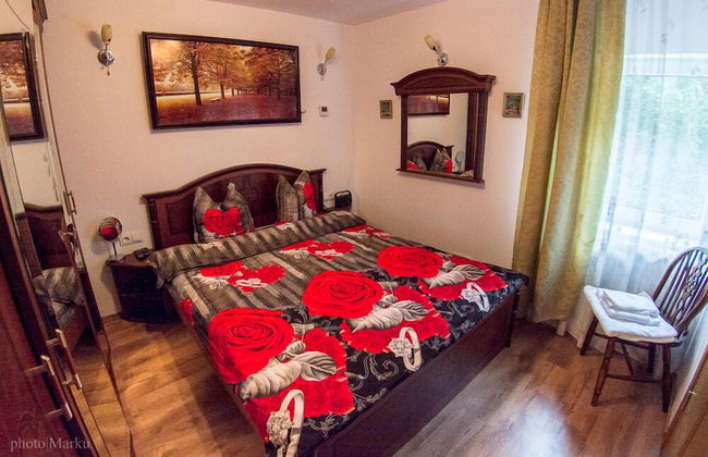 Vila Flora Viseu de Jos - Foto 7