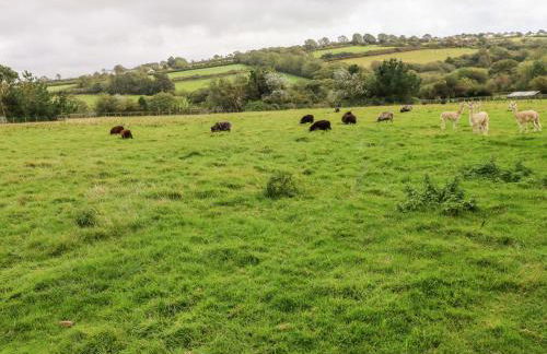 Potters Barn - Photo 18