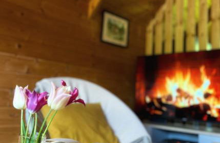 Domki u Oli - strefa relaksu z balią - Foto 17