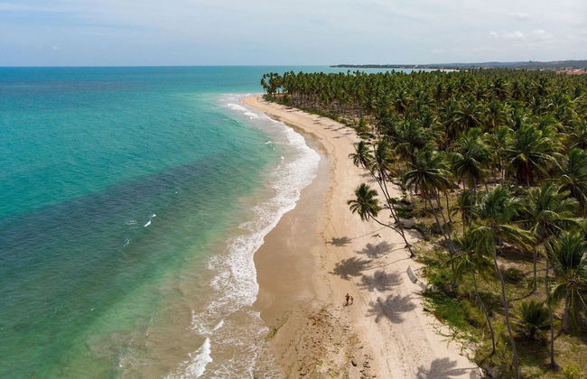 Carneiros Beach Resort - Praia Carneiros - Foto 15