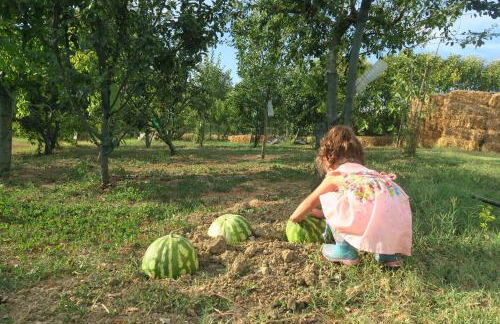 Country Rooms & Suite La Quercia - Foto 31