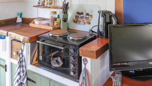 Glan Tywyn Shepherds Hut - Foto 5